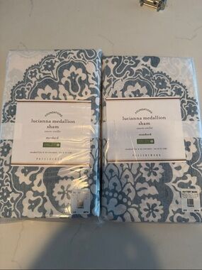 Pottery Barn Lucianna Medallion Sham in Blue and White